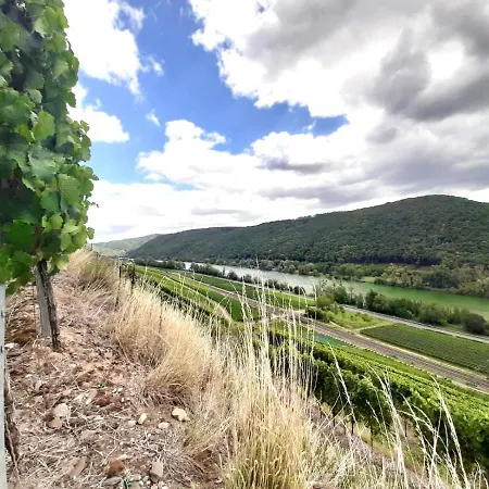 Ferienhaus Goldstück wohnen im Weinberg Pommern Exterior foto