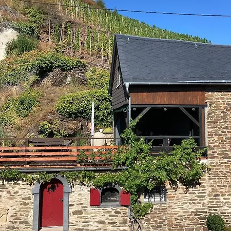 Ferienhaus Goldstück wohnen im Weinberg Pommern Exterior foto