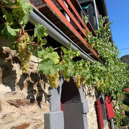 Ferienhaus Goldstück wohnen im Weinberg Pommern Exterior foto