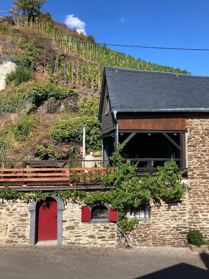 Ferienhaus Goldstück Wohnen Im Weinberg