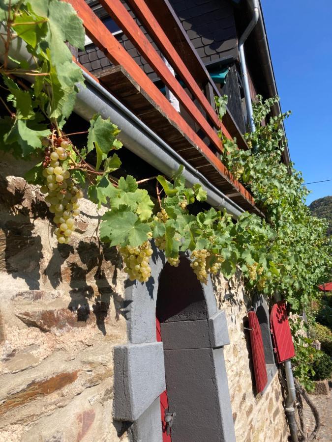 Goldstück Wohnen Im Weinberg Ferienhaus *