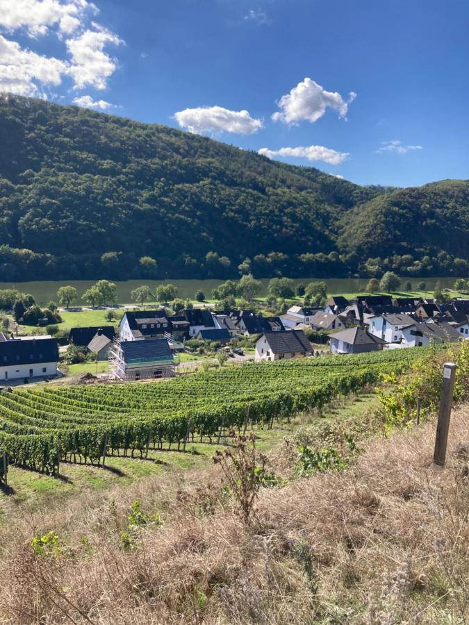 Goldstück Wohnen Im Weinberg * Pommern